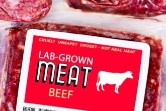 Lab Meat: Science, Climate, and Cellular Agriculture